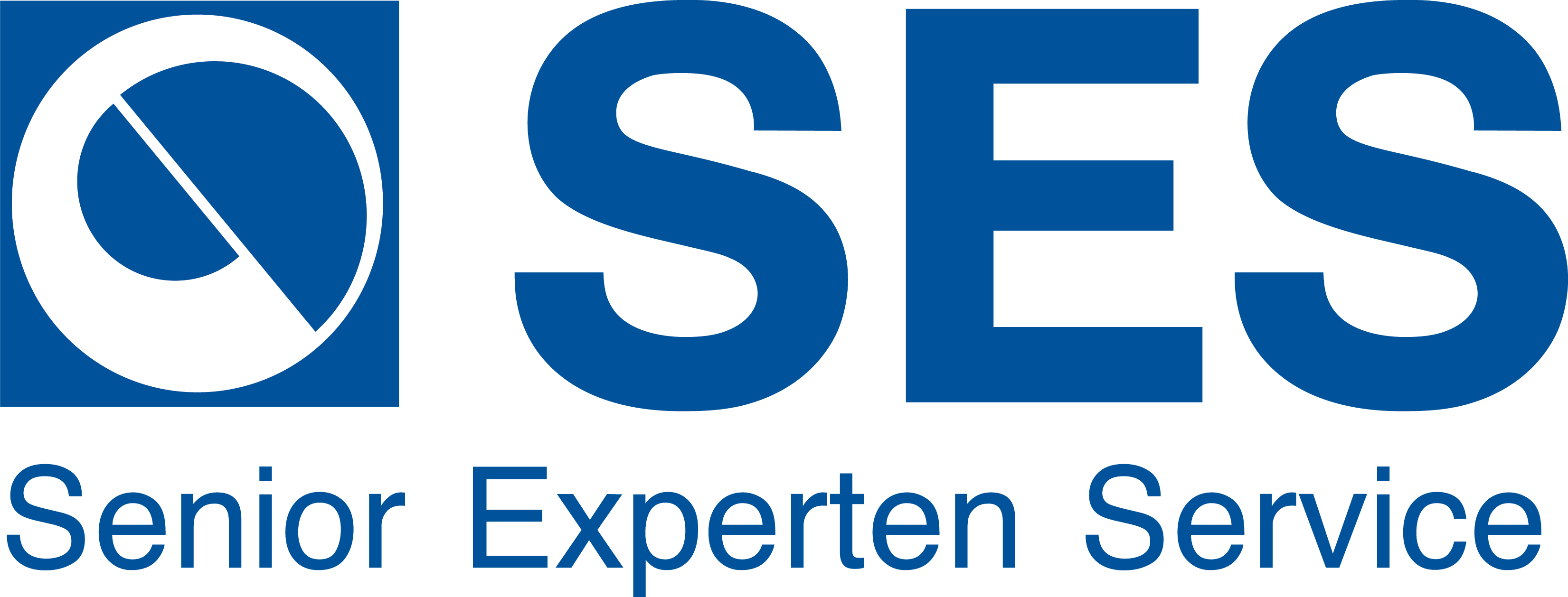 SES – Senior Experten Service